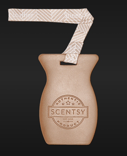 Scentsy Car Bar